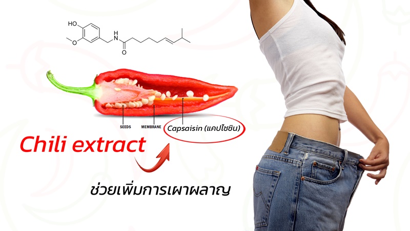 Chili extract