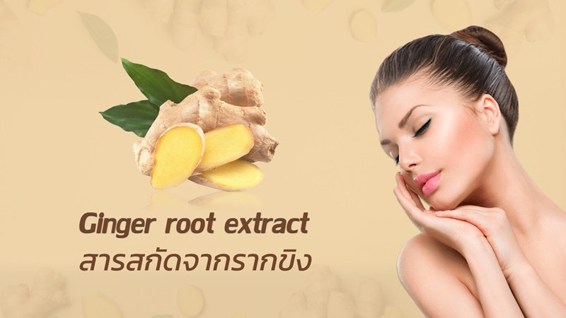 สารสกัดขิง