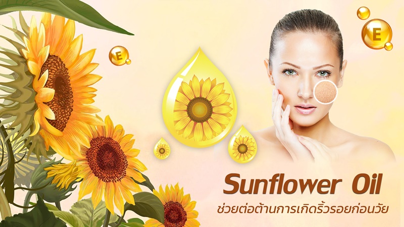 Sunflower Oil