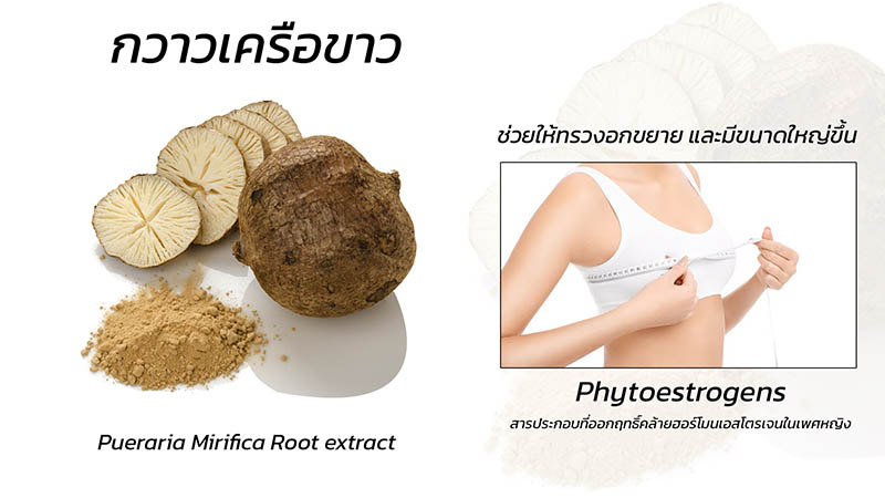 กวาวเครือ